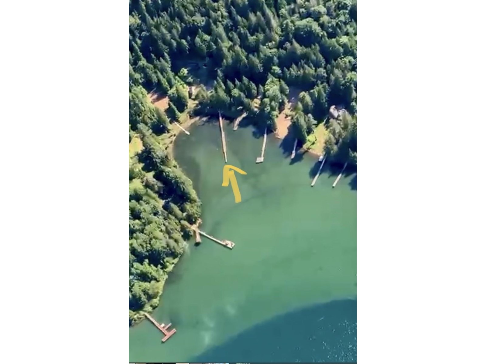 Lot 3 Harrison River, Mt Woodside, Harrison Hot Springs, British Columbia  V0M 1K0 - Photo 2 - R2981797