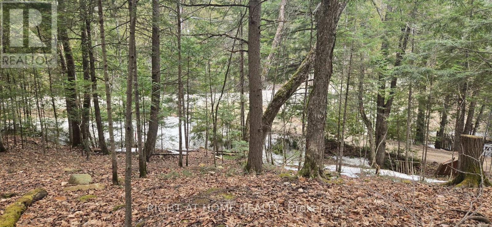 1061 Centennial Lake Road, Greater Madawaska, Ontario  K0J 1H0 - Photo 5 - X12104511