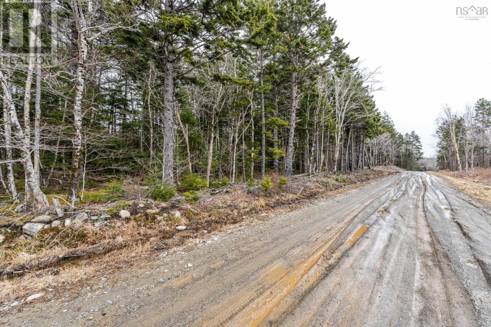 Lot Grosses Coque Road, Grosses Coques, Nova Scotia  B0W 1M0 - Photo 10 - 202508873