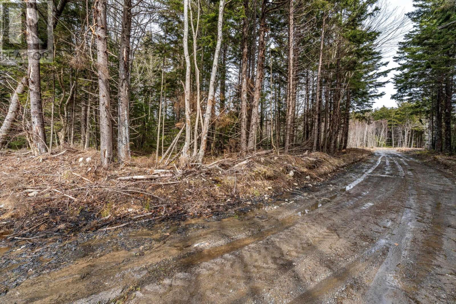 Lot Grosses Coque Road, Grosses Coques, Nova Scotia  B0W 1M0 - Photo 12 - 202508873