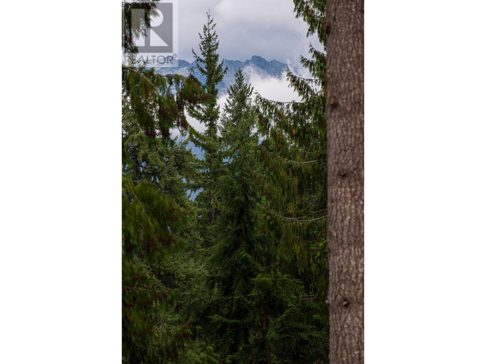 8270 Mountain View Drive, Whistler, British Columbia  V8E 0G5 - Photo 5 - R2994417