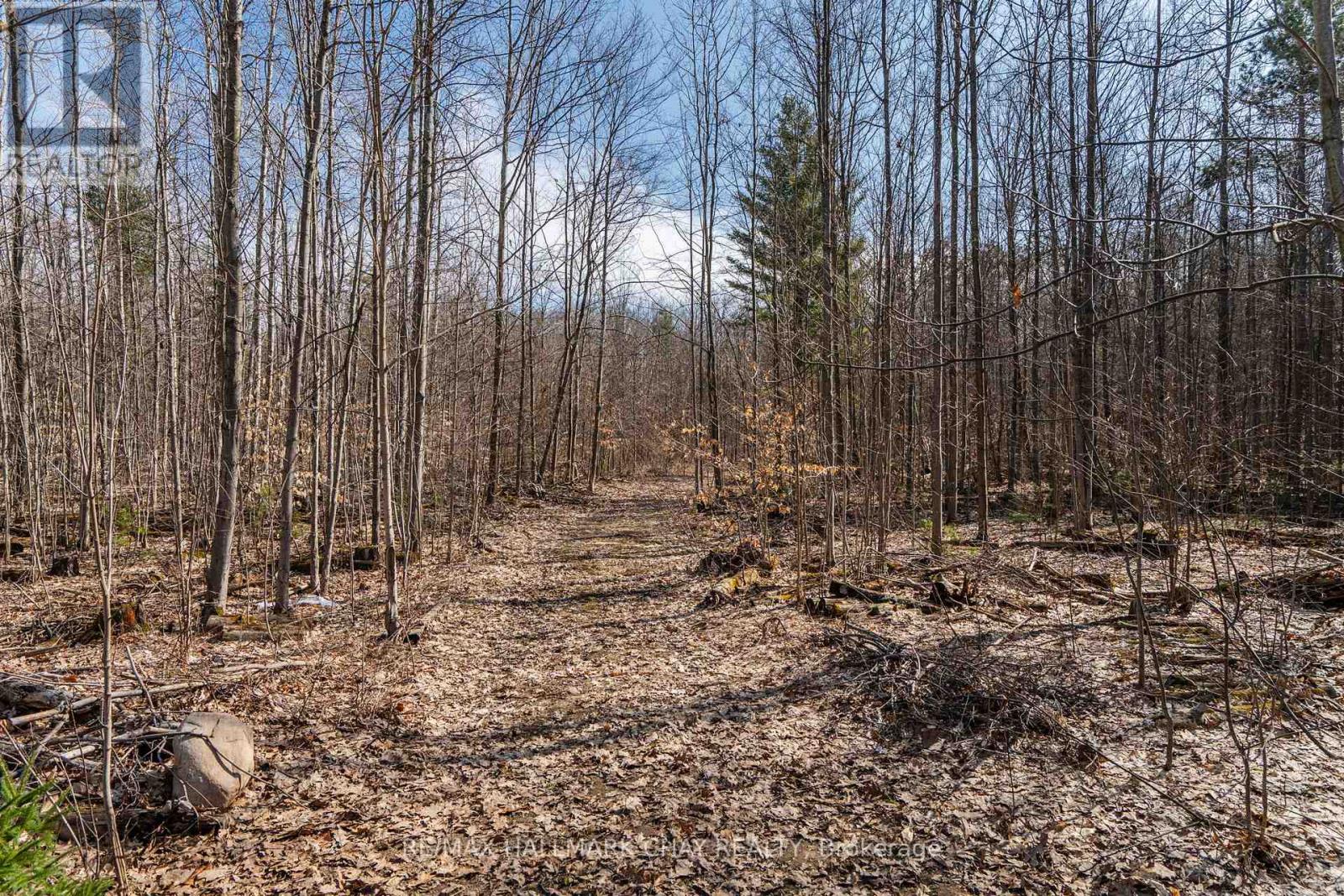 2091 Dwyer Road, Springwater, Ontario  L9X 1L7 - Photo 48 - S12095789