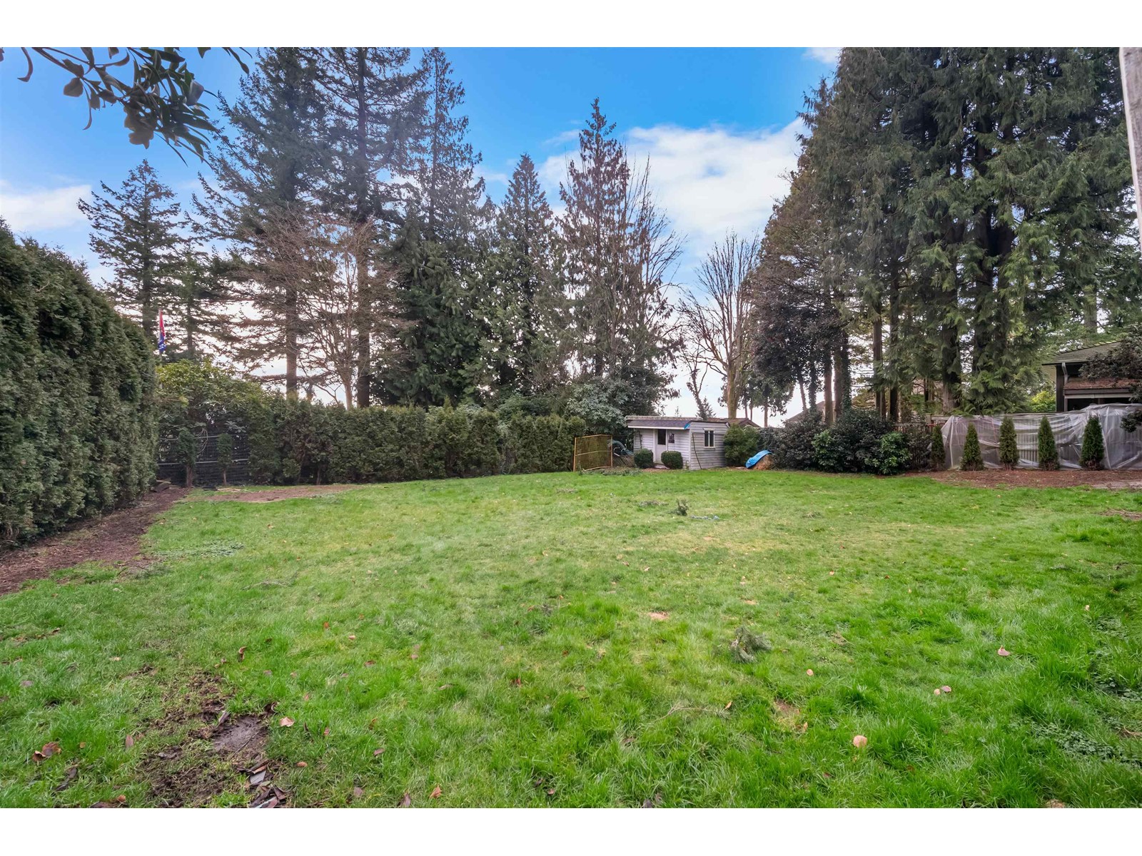 Property at 13866 56 AVENUE image 2
