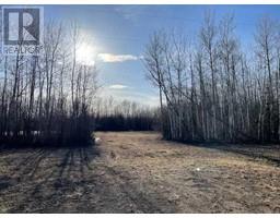 Lot #3, rural mackenzie county, Alberta