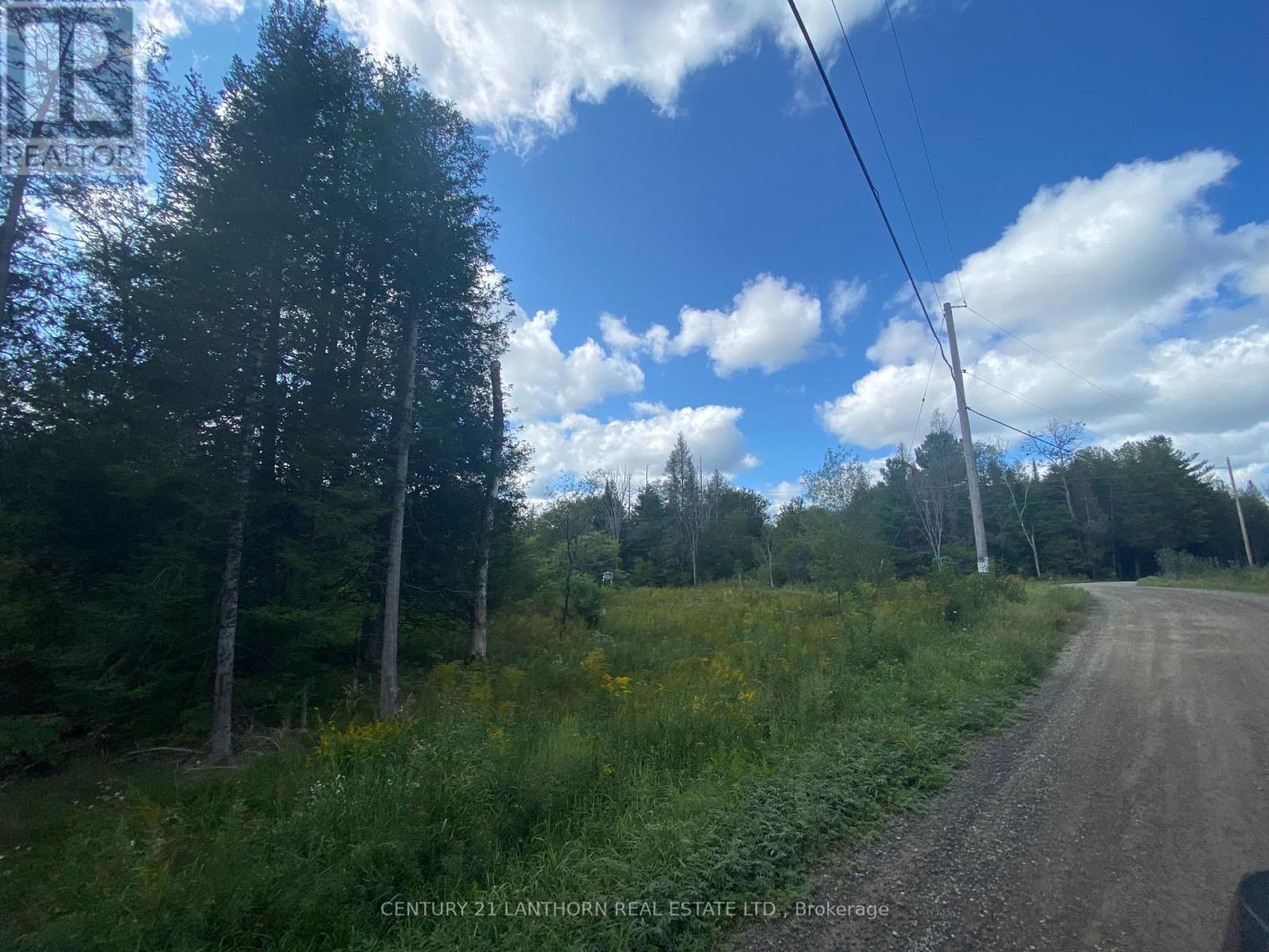 0 Stoney Settlement Road, Tudor And Cashel, Ontario  K0K 1Y0 - Photo 10 - X12105202