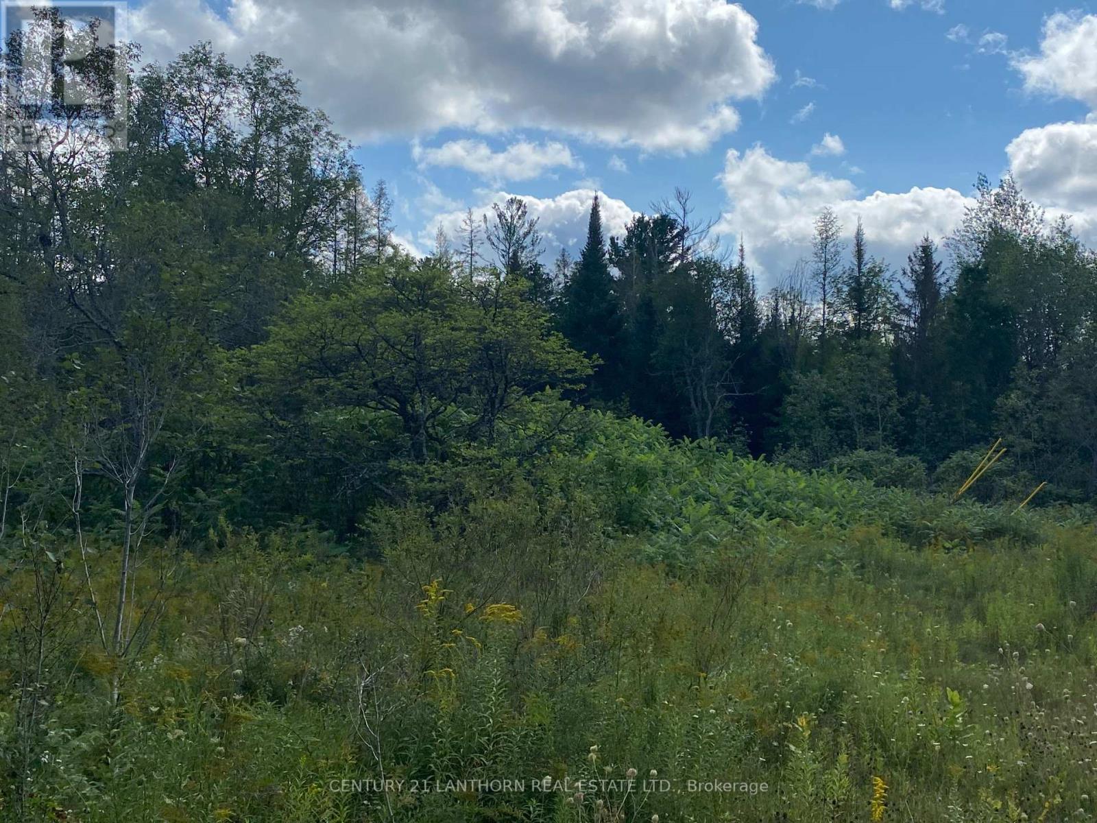 0 Stoney Settlement Road, Tudor And Cashel, Ontario  K0K 1Y0 - Photo 14 - X12105202