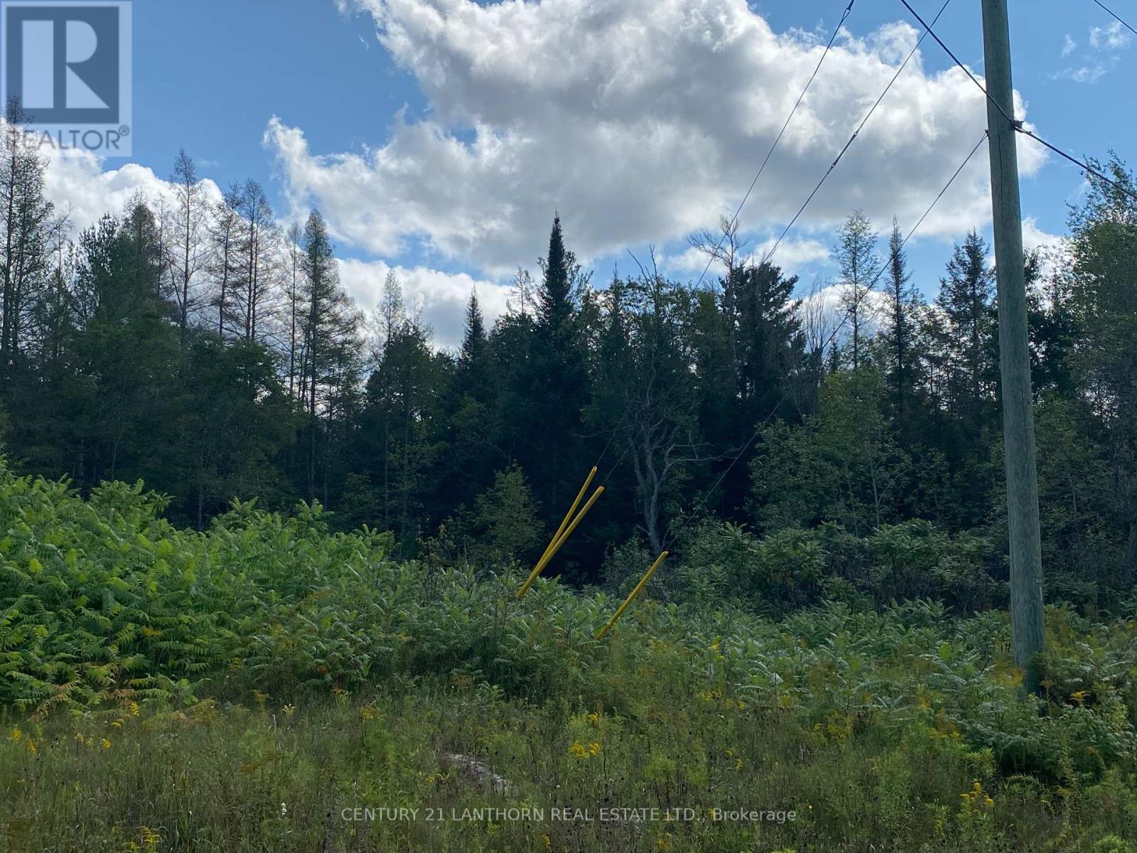 0 Stoney Settlement Road, Tudor And Cashel, Ontario  K0K 1Y0 - Photo 16 - X12105202