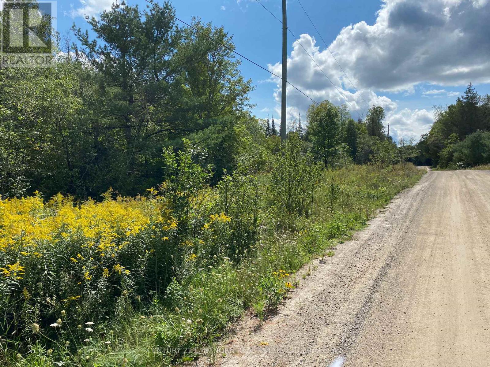 0 Stoney Settlement Road, Tudor And Cashel, Ontario  K0K 1Y0 - Photo 19 - X12105202