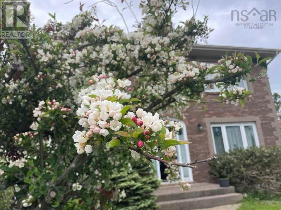 11 Stockleigh Place, Halifax, Nova Scotia  B3M 4K4 - Photo 47 - 202507089