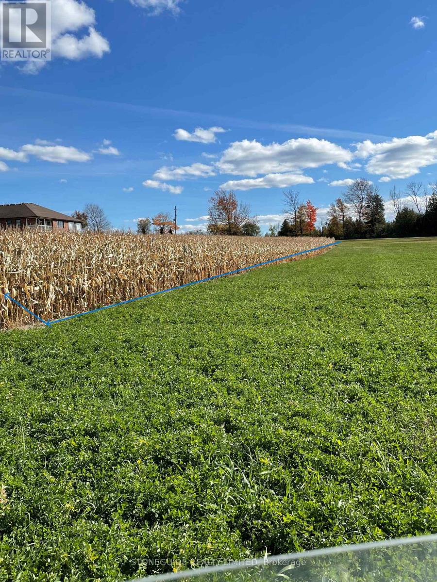 00 Assumption Road, Otonabee-South Monaghan, Ontario  K9J 6X7 - Photo 4 - X12105587