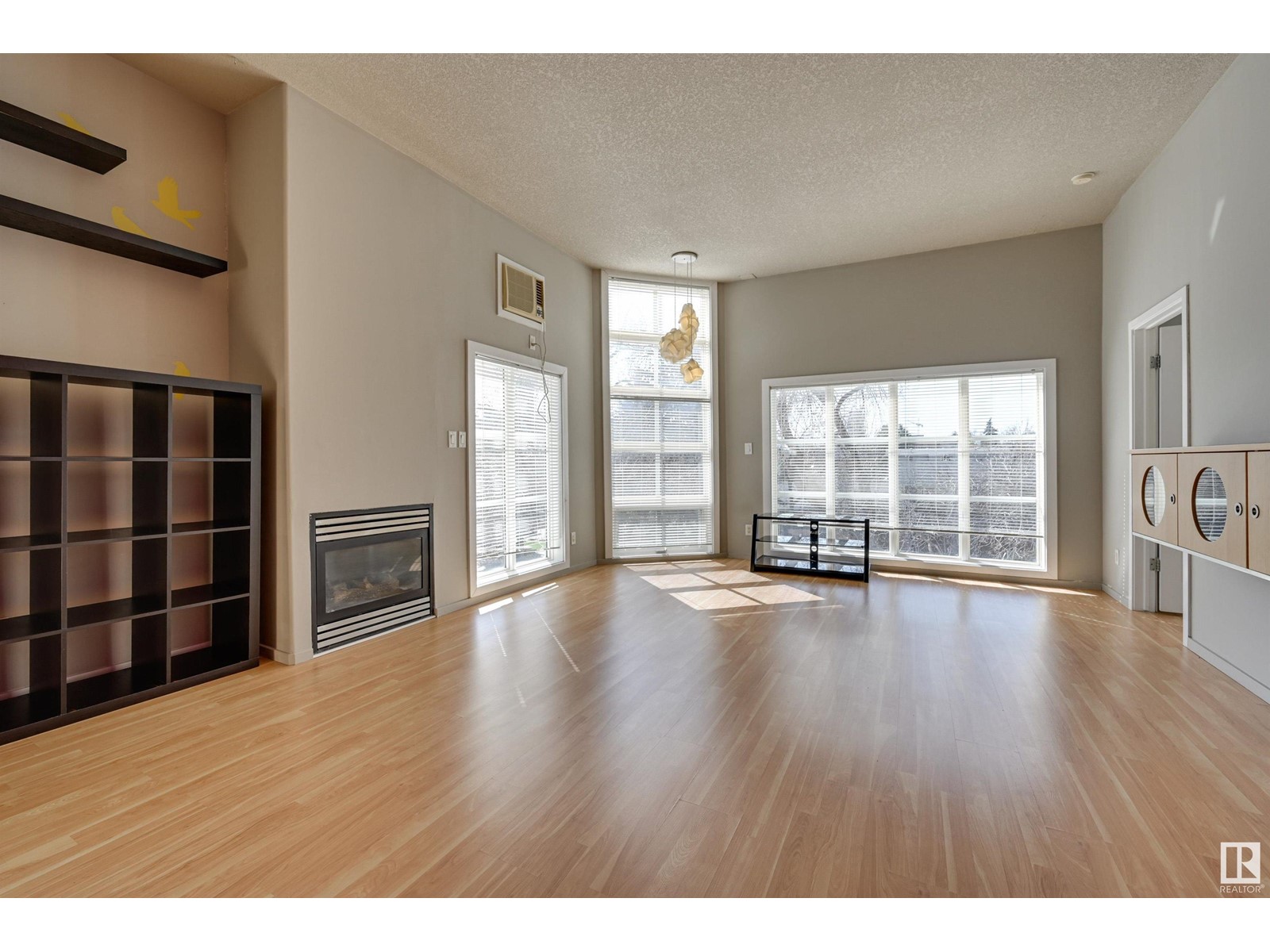 Property at #303 10905 109 ST NW image 3