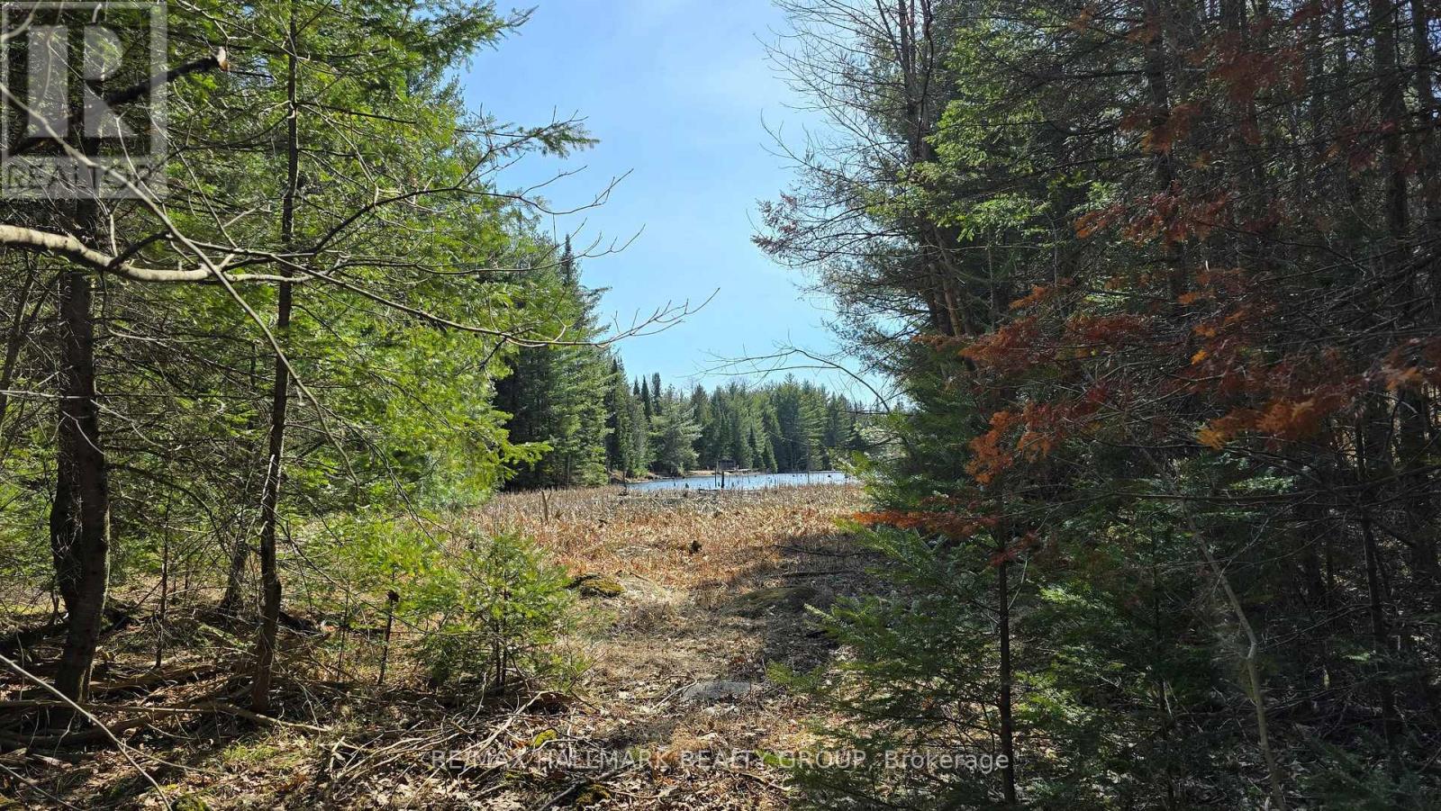 0000 Calabogie Road, Greater Madawaska, Ontario  K0J 1G0 - Photo 18 - X12106108