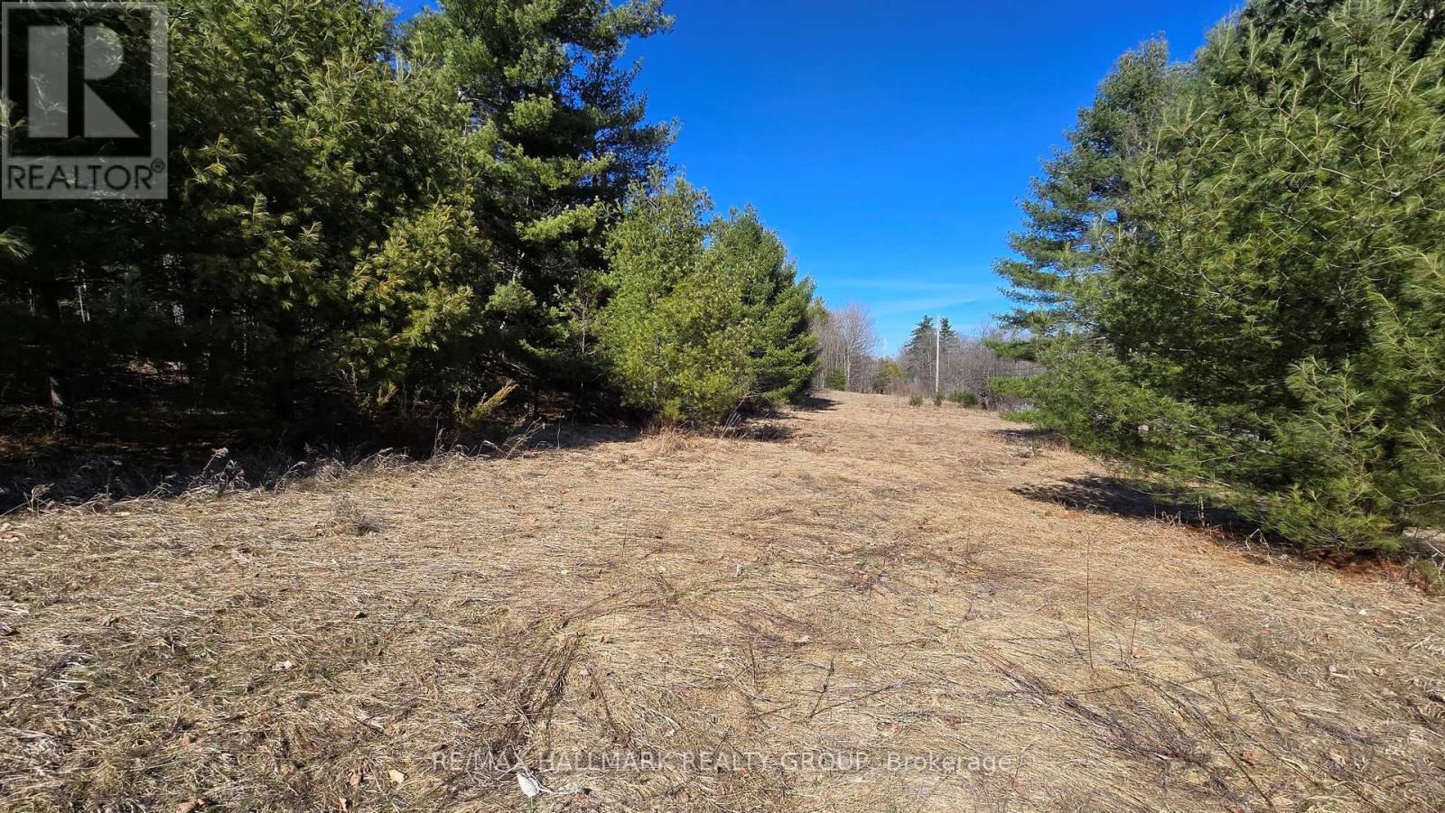 0000 Calabogie Road, Greater Madawaska, Ontario  K0J 1G0 - Photo 20 - X12106108