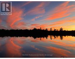 3 - 2901 LIMBERLOST ROAD, Lake of Bays, Ontario