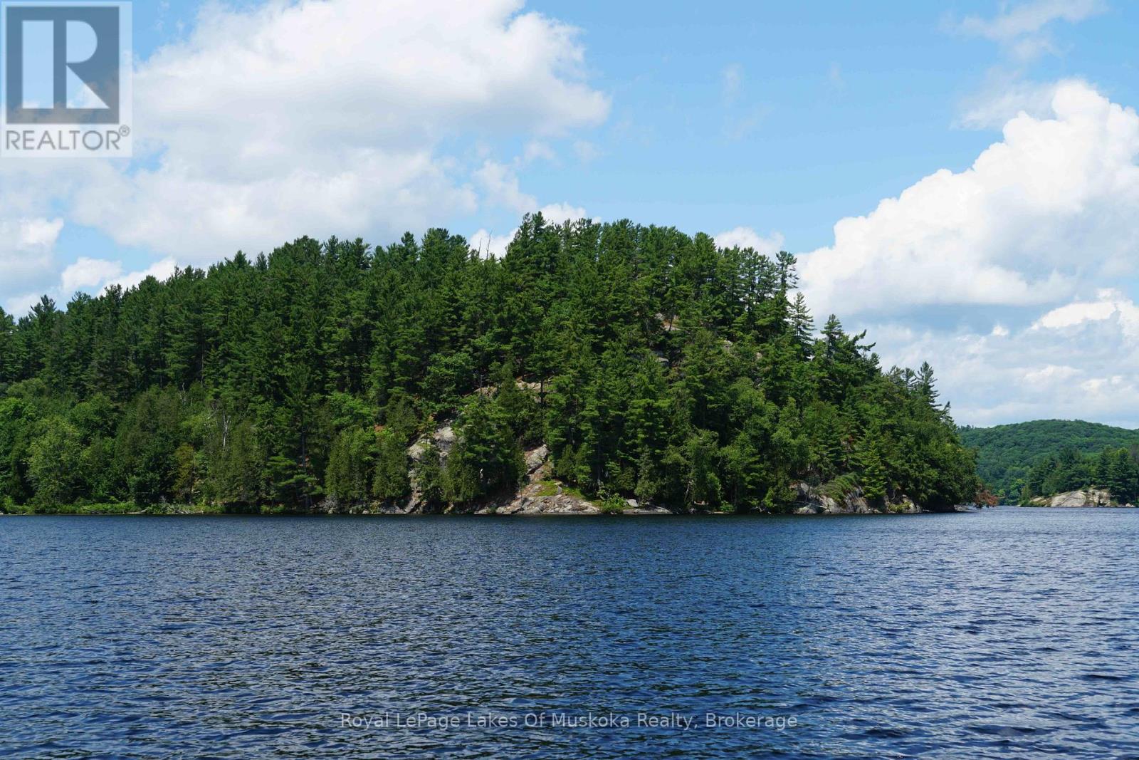 29 Thorburn Lane, Huntsville, Ontario  P1H 0C3 - Photo 15 - X12106255