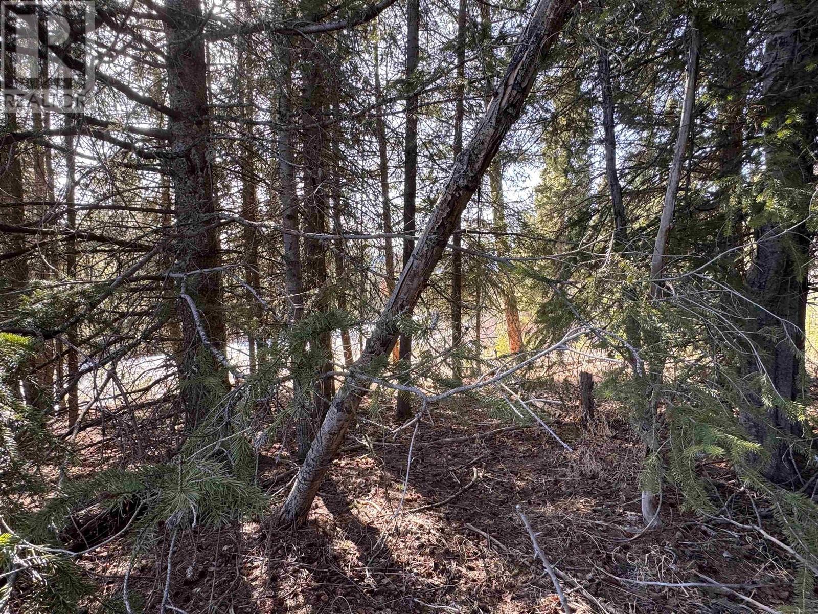 Lot 24 Cottage Lane, Bridge Lake, British Columbia  V0K 1E0 - Photo 8 - R2994702