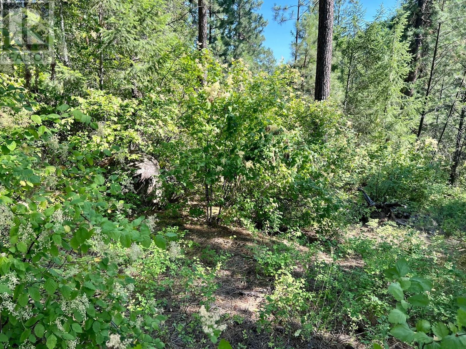 Lot 11 Evans Road, Creston, British Columbia  V0B 1G7 - Photo 2 - 10345153