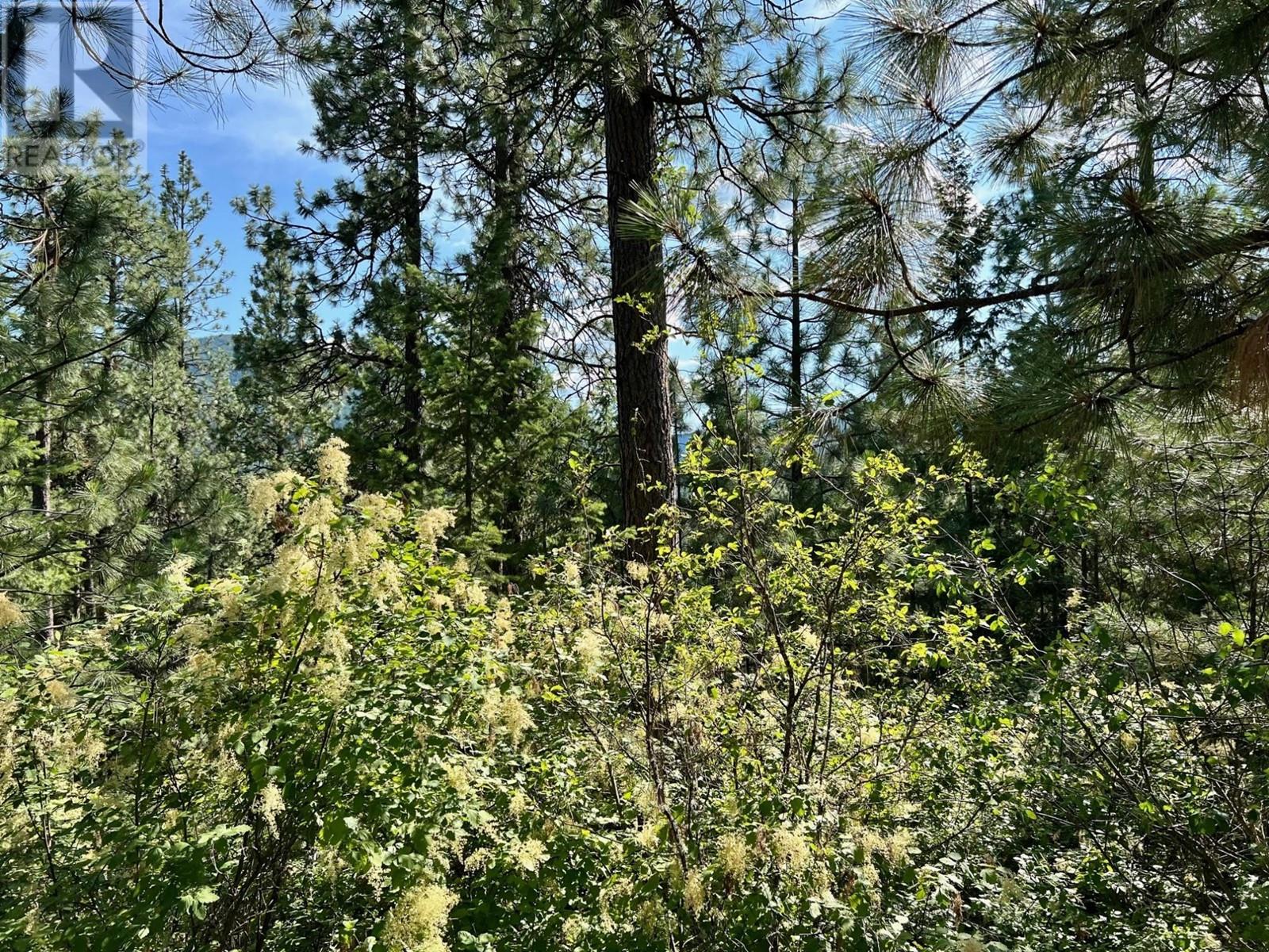 Lot 11 Evans Road, Creston, British Columbia  V0B 1G7 - Photo 4 - 10345153