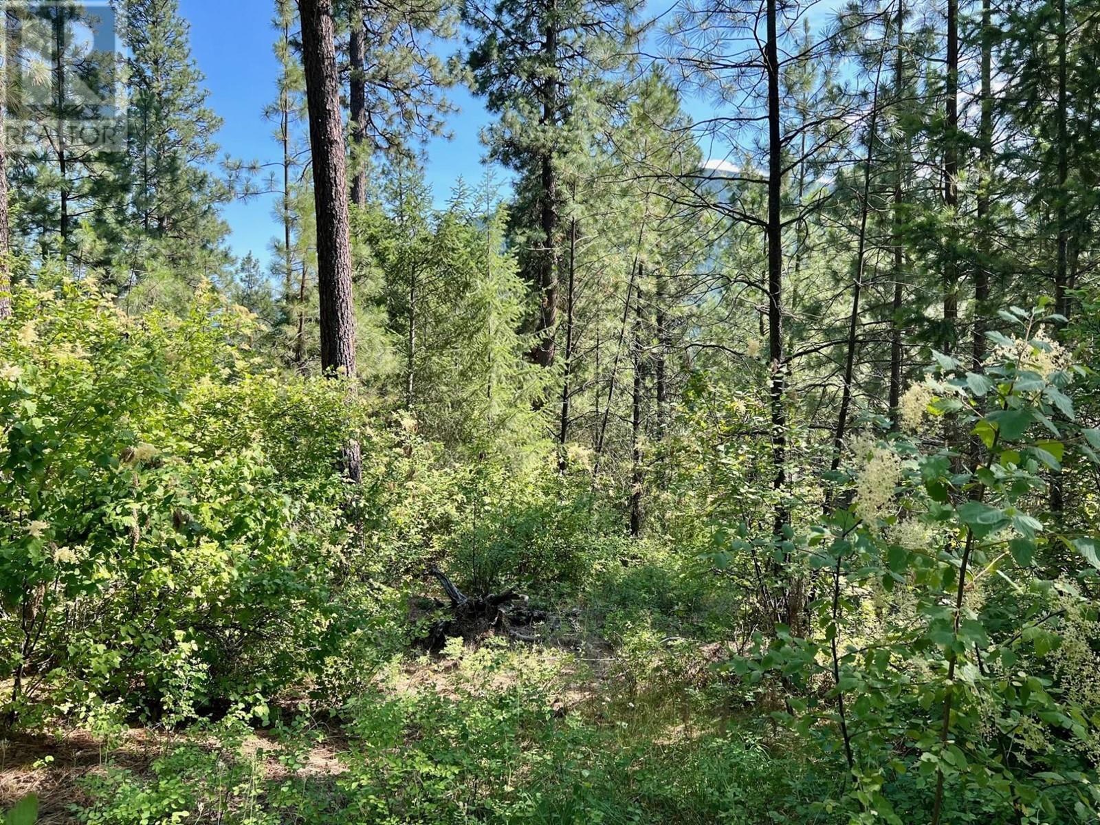 Lot 11 Evans Road, Creston, British Columbia  V0B 1G7 - Photo 3 - 10345153