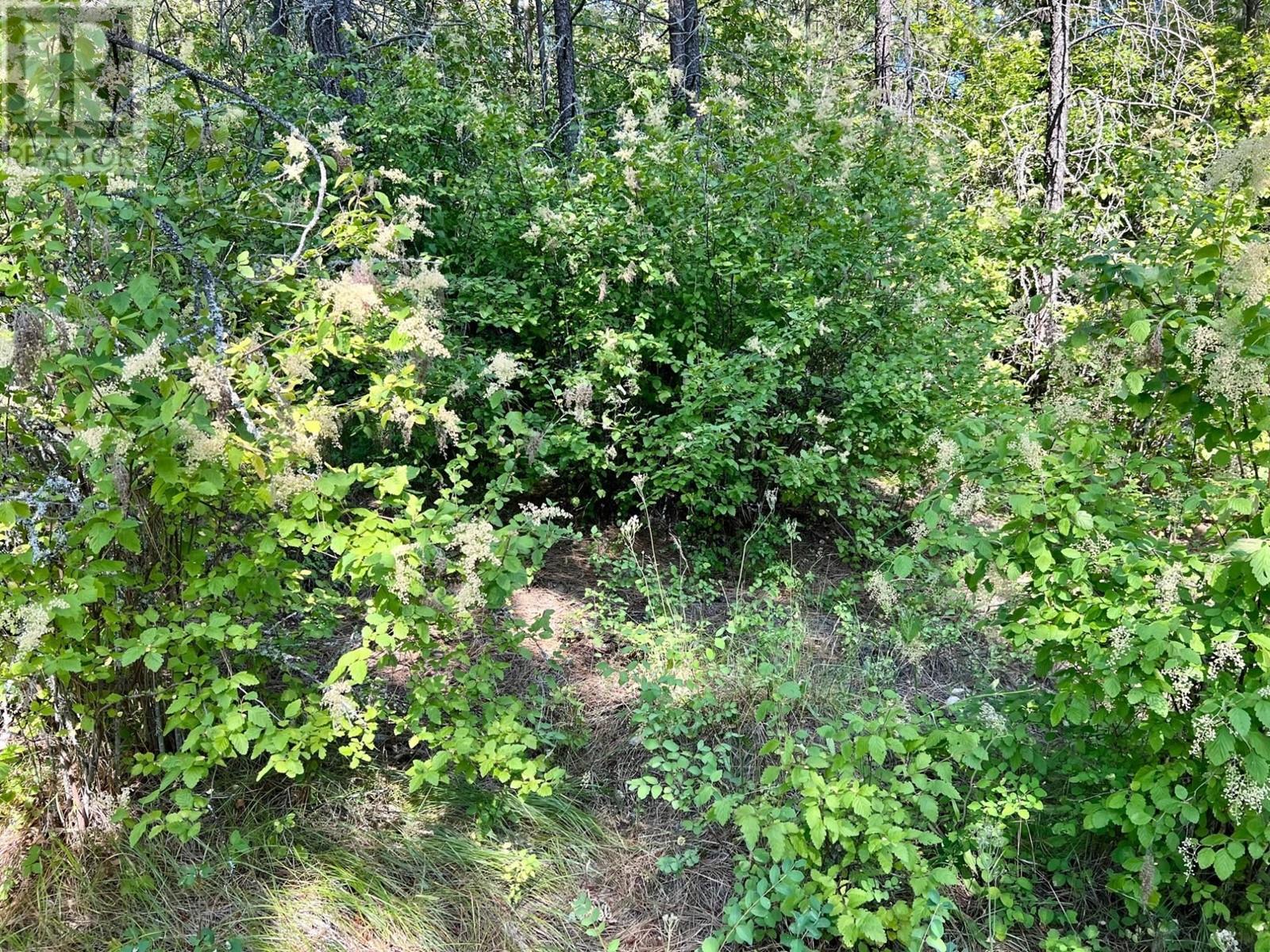 Lot 11 Evans Road, Creston, British Columbia  V0B 1G7 - Photo 20 - 10345153