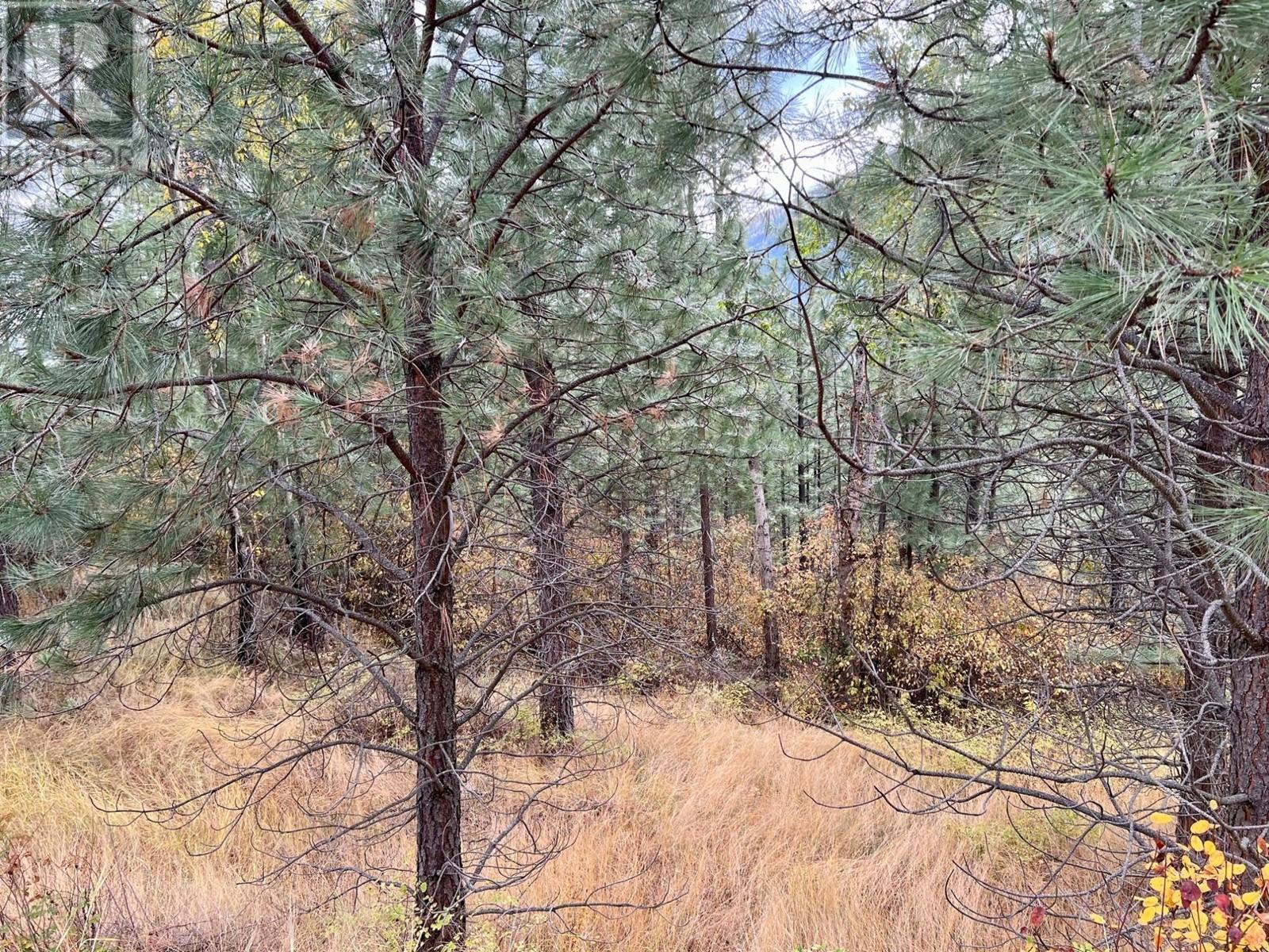 Lot 11 Evans Road, Creston, British Columbia  V0B 1G7 - Photo 12 - 10345153