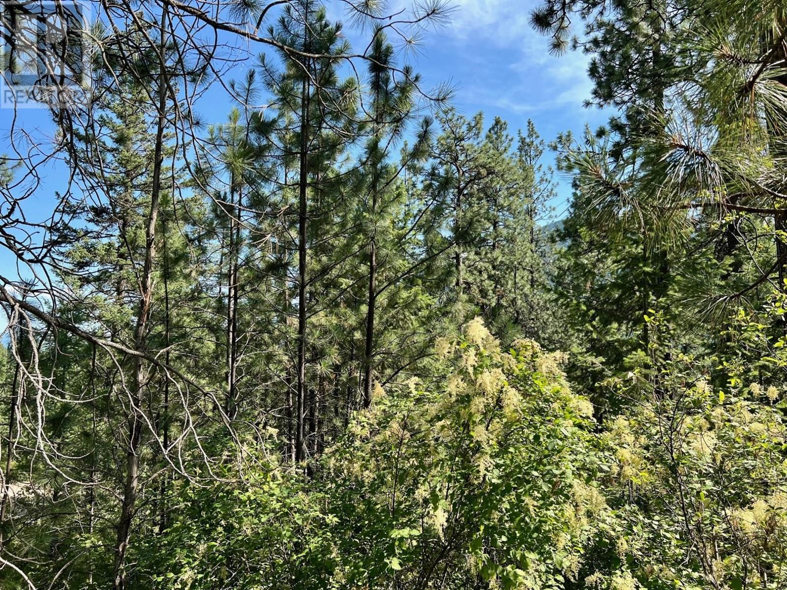 Lot 11 Evans Road, Creston, British Columbia  V0B 1G7 - Photo 5 - 10345153