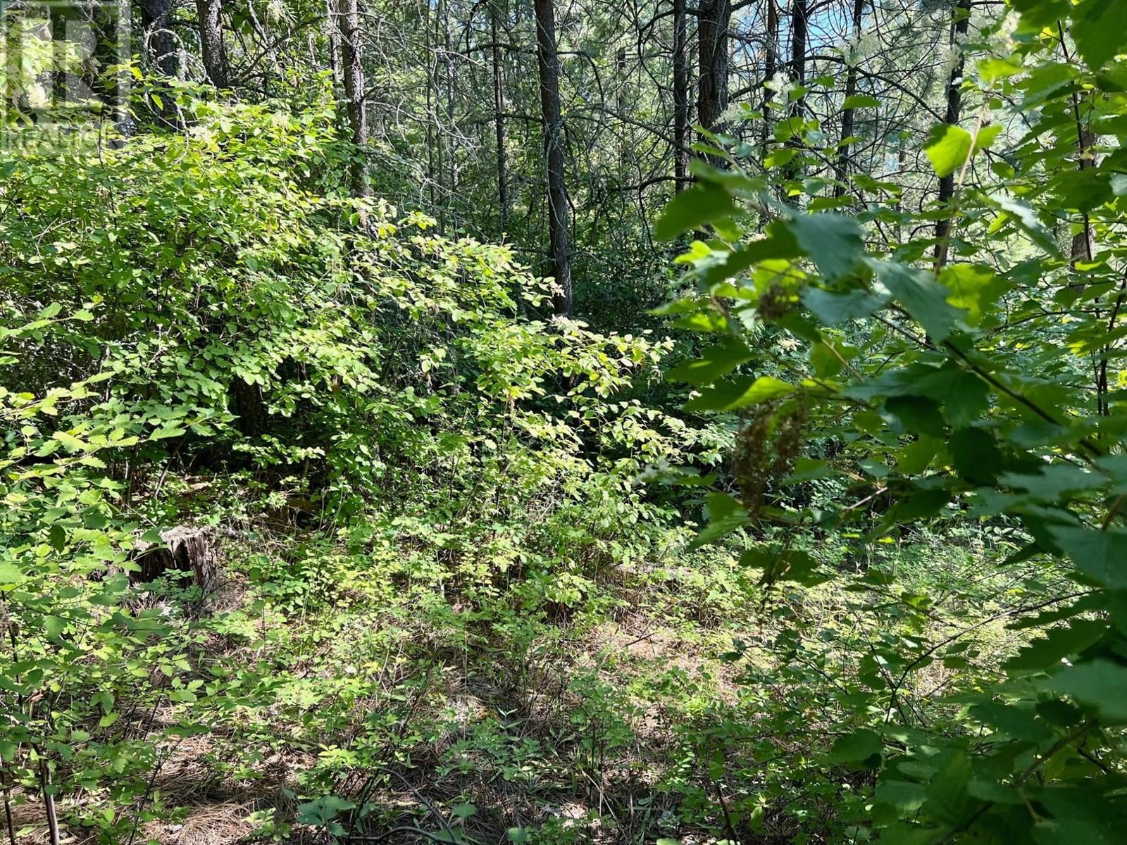 Lot 11 Evans Road, Creston, British Columbia  V0B 1G7 - Photo 18 - 10345153
