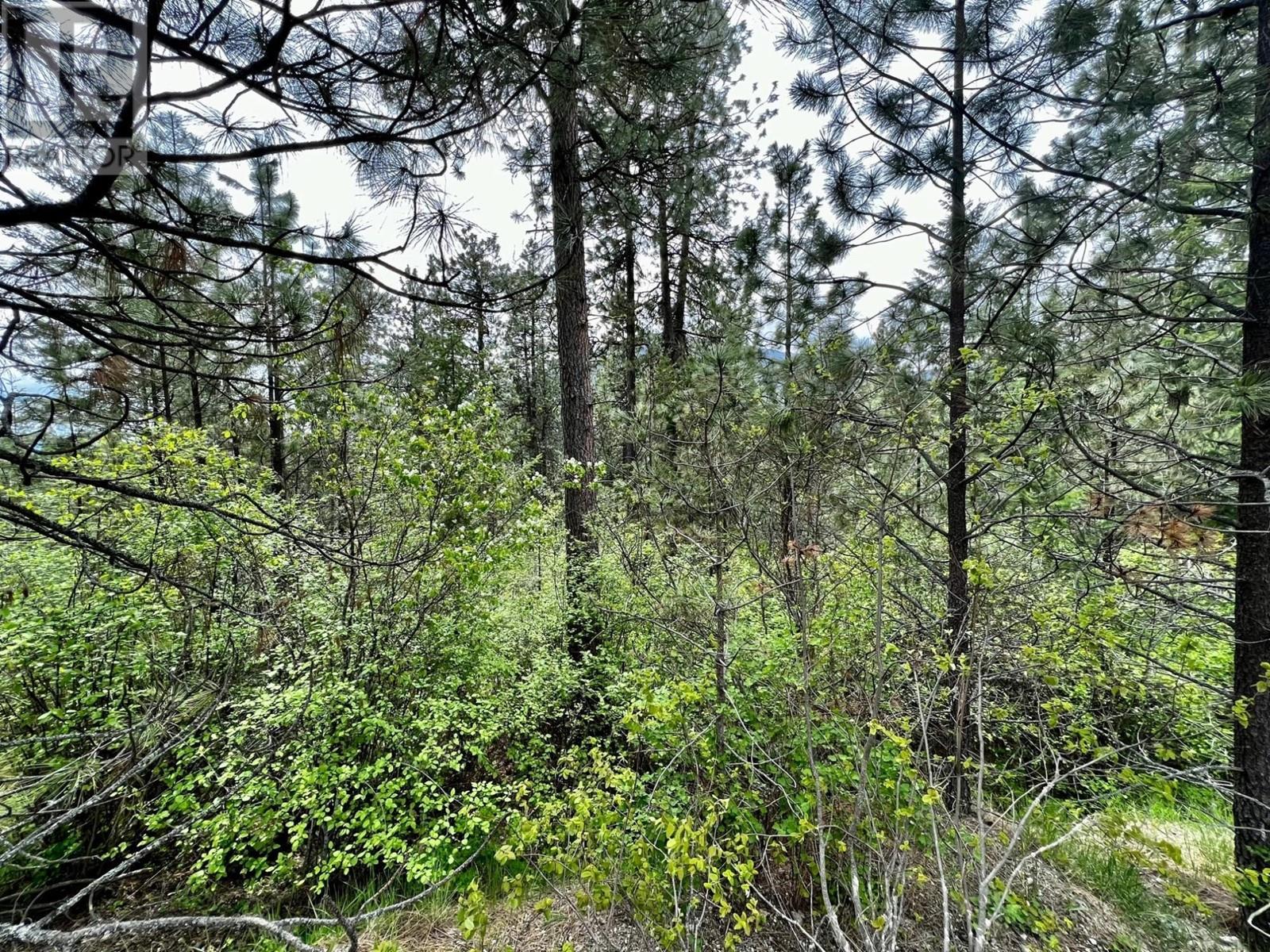 Lot 11 Evans Road, Creston, British Columbia  V0B 1G7 - Photo 15 - 10345153