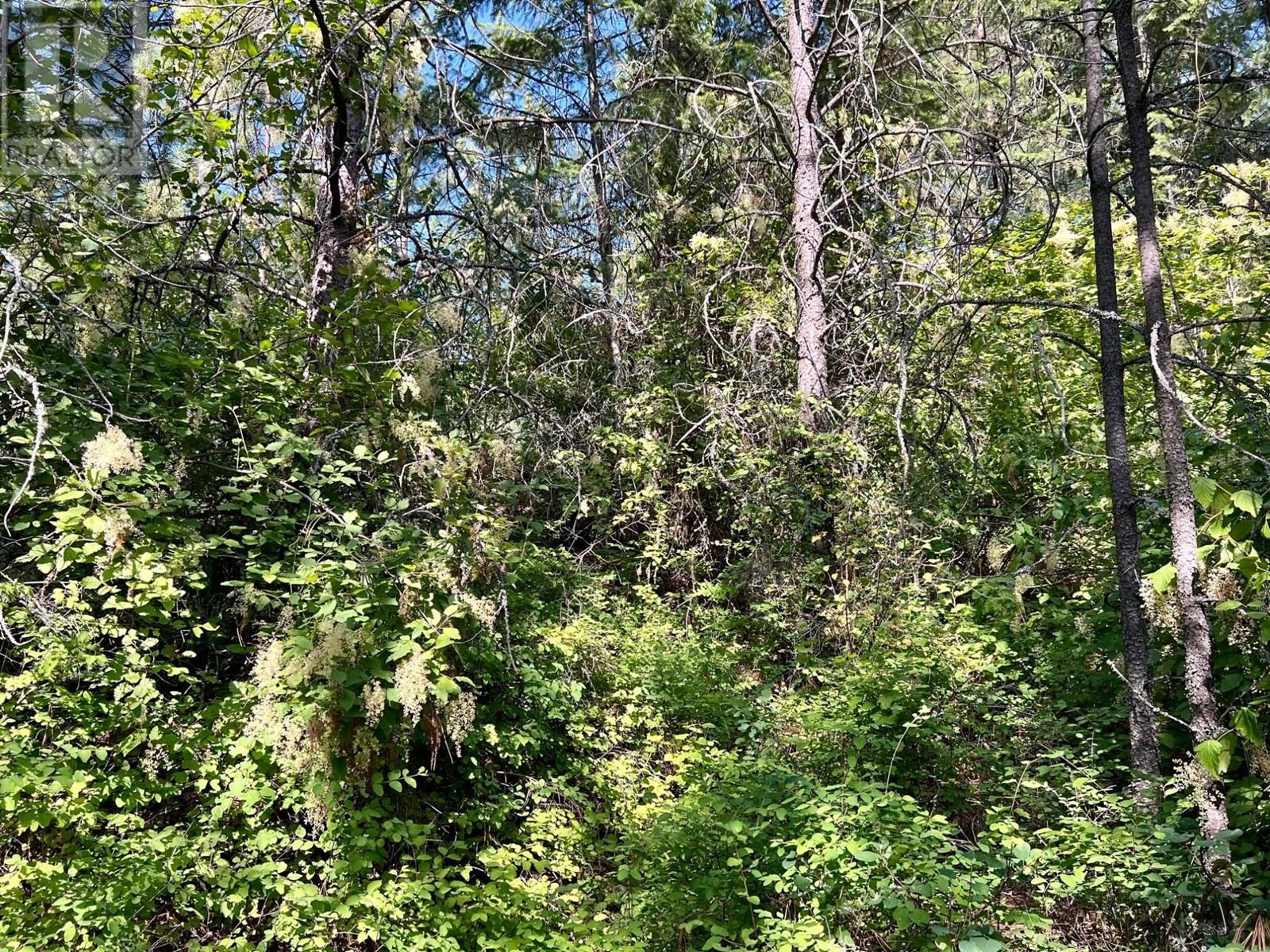 Lot 11 Evans Road, Creston, British Columbia  V0B 1G7 - Photo 21 - 10345153