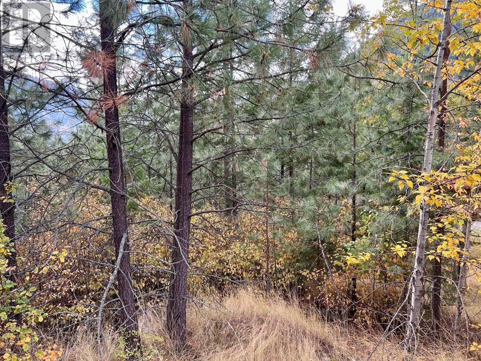 Lot 11 Evans Road, Creston, British Columbia  V0B 1G7 - Photo 10 - 10345153