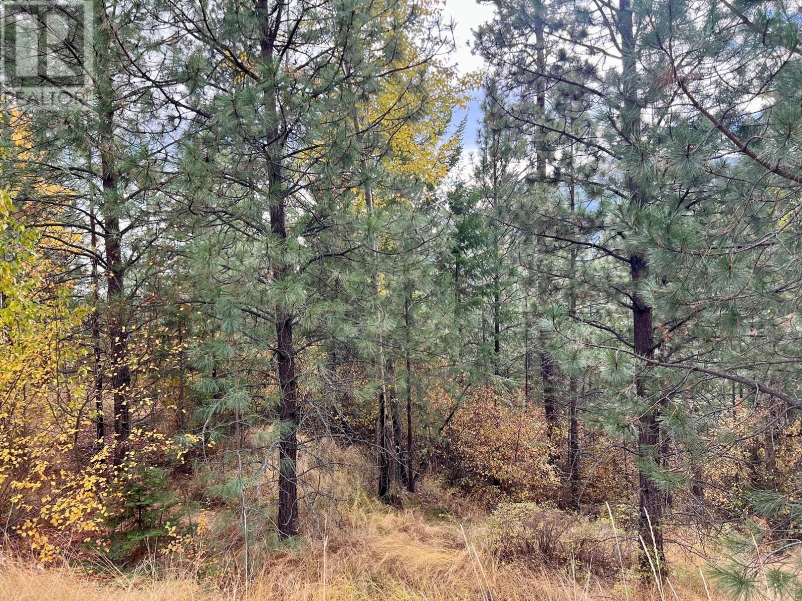 Lot 11 Evans Road, Creston, British Columbia  V0B 1G7 - Photo 8 - 10345153