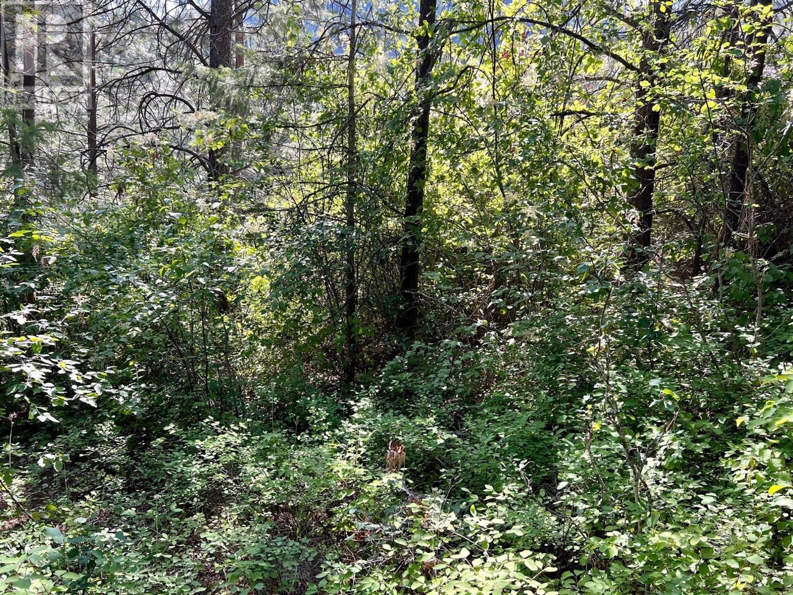 Lot 11 Evans Road, Creston, British Columbia  V0B 1G7 - Photo 16 - 10345153