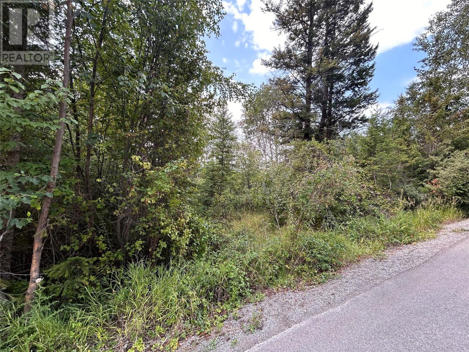 5185 Hot Springs Road, Fairmont Hot Springs, British Columbia  V0B 1L1 - Photo 4 - 10344297