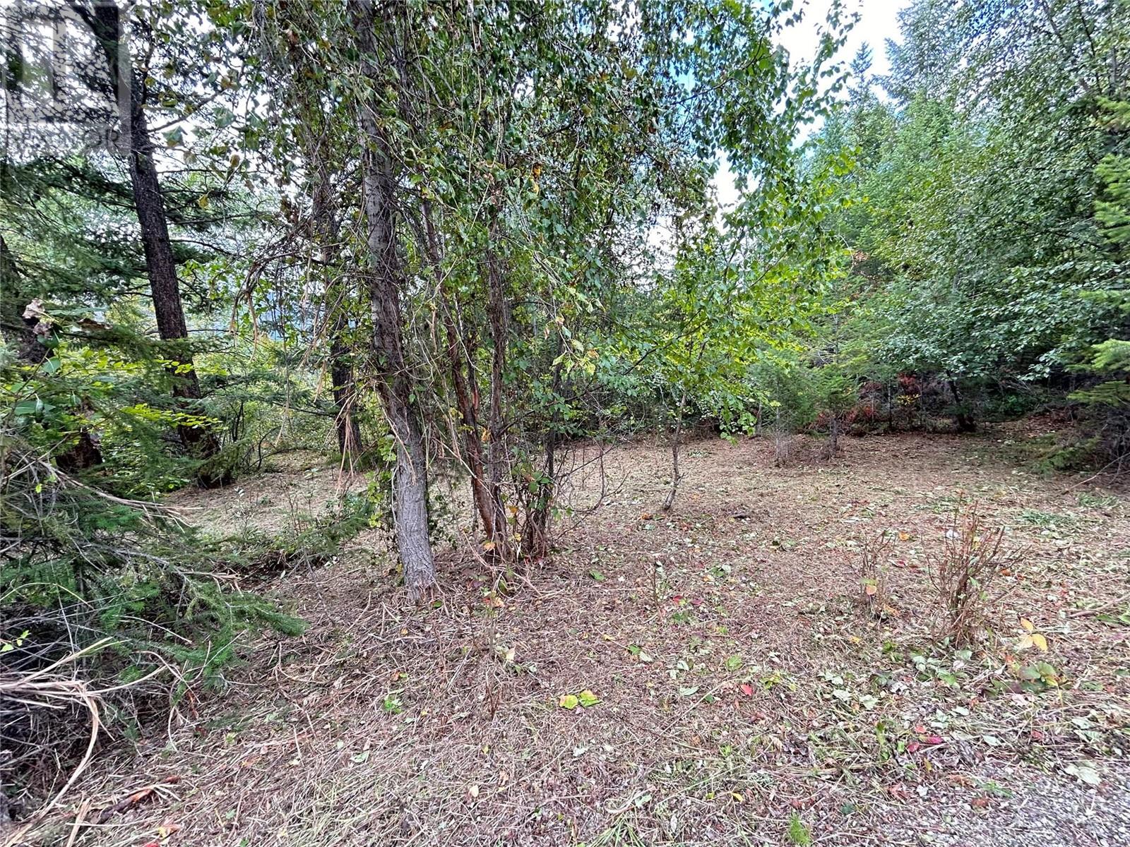 5185 Hot Springs Road, Fairmont Hot Springs, British Columbia  V0B 1L1 - Photo 7 - 10344297