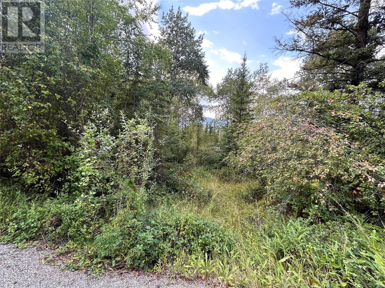 5185 Hot Springs Road, Fairmont Hot Springs, British Columbia  V0B 1L1 - Photo 5 - 10344297