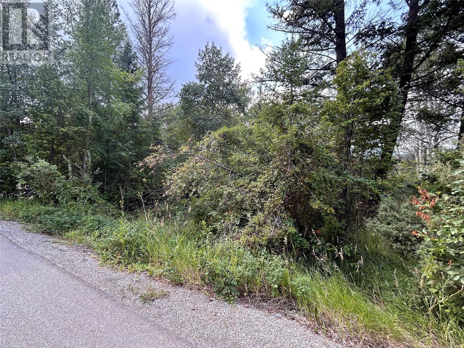 5185 Hot Springs Road, Fairmont Hot Springs, British Columbia  V0B 1L1 - Photo 6 - 10344297