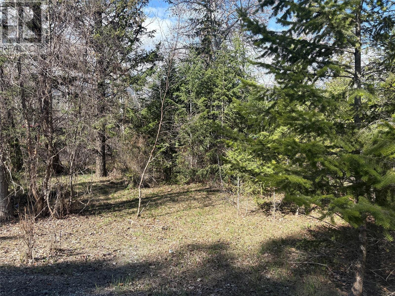 5185 Hot Springs Road, Fairmont Hot Springs, British Columbia  V0B 1L1 - Photo 2 - 10344297