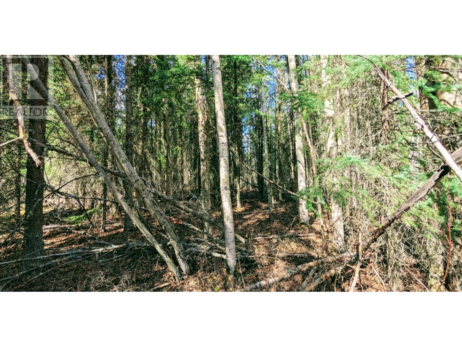 Lot 317 Ludlom Road, 100 Mile House, British Columbia  V0K 1X3 - Photo 3 - R2994730