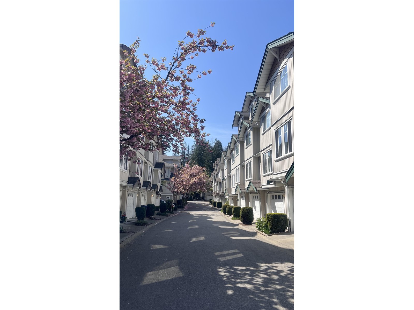 79 12711 64 Avenue, Surrey, British Columbia  V3W 1X1 - Photo 17 - R2994111