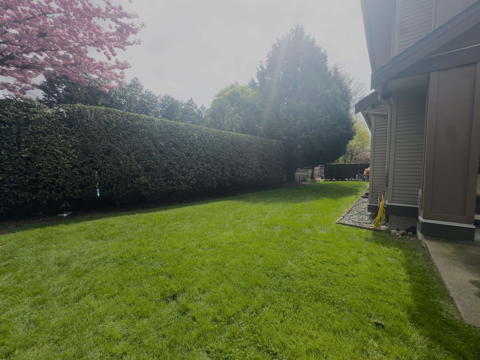 53 15168 66a Avenue, Surrey, British Columbia  V3W 1X2 - Photo 33 - R2993136