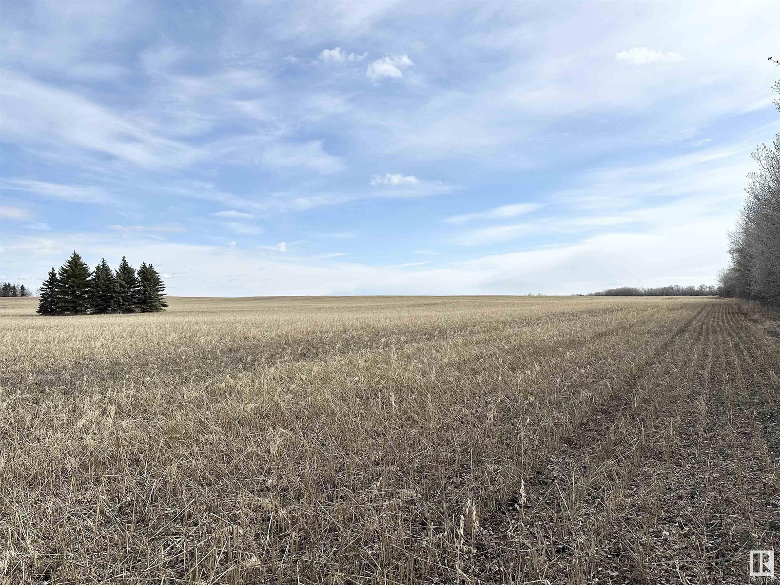 Twp 551 Range Road 260, Rural Sturgeon County, Alberta  T8R 0T4 - Photo 10 - E4433093