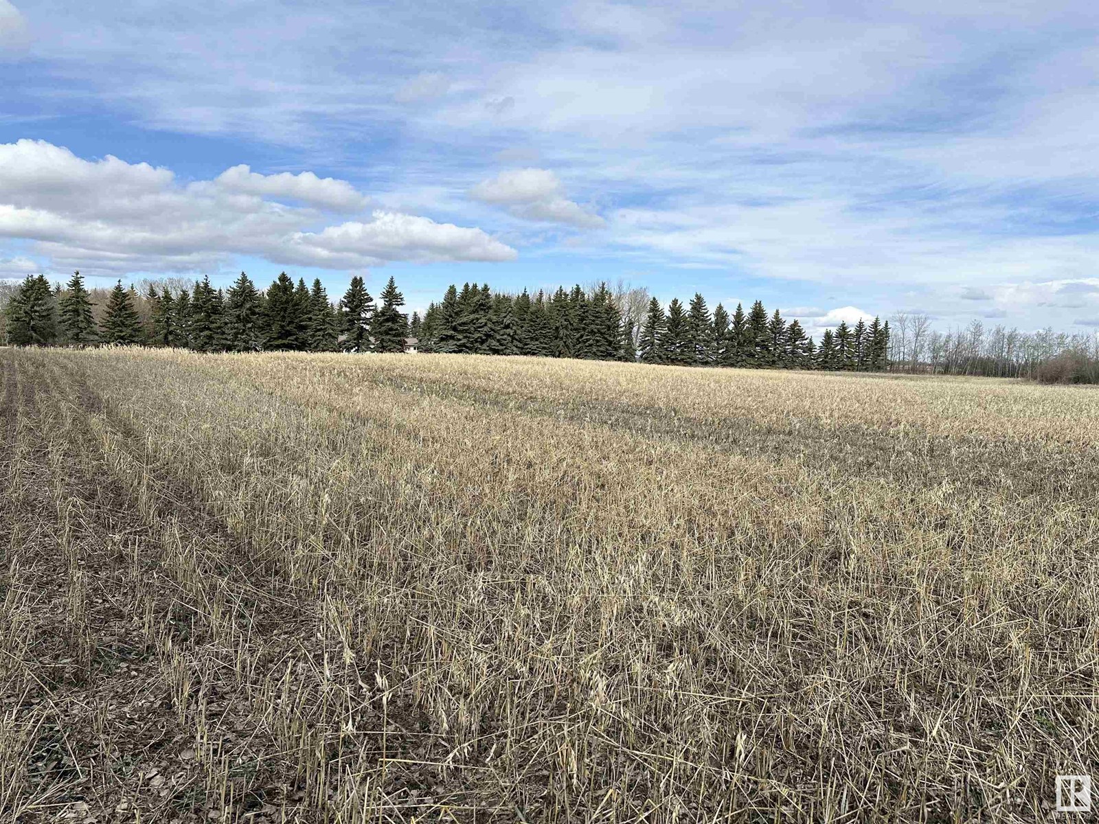 Twp 551 Range Road 260, Rural Sturgeon County, Alberta  T8R 0T4 - Photo 11 - E4433093