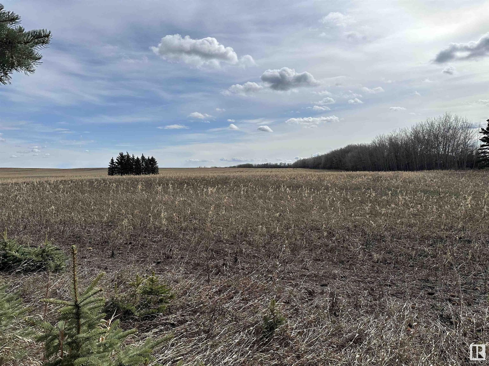 Twp 551 Range Road 260, Rural Sturgeon County, Alberta  T8R 0T4 - Photo 13 - E4433093