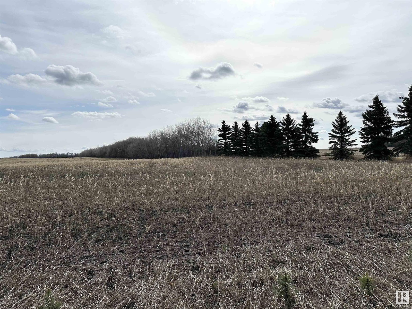 Twp 551 Range Road 260, Rural Sturgeon County, Alberta  T8R 0T4 - Photo 14 - E4433093