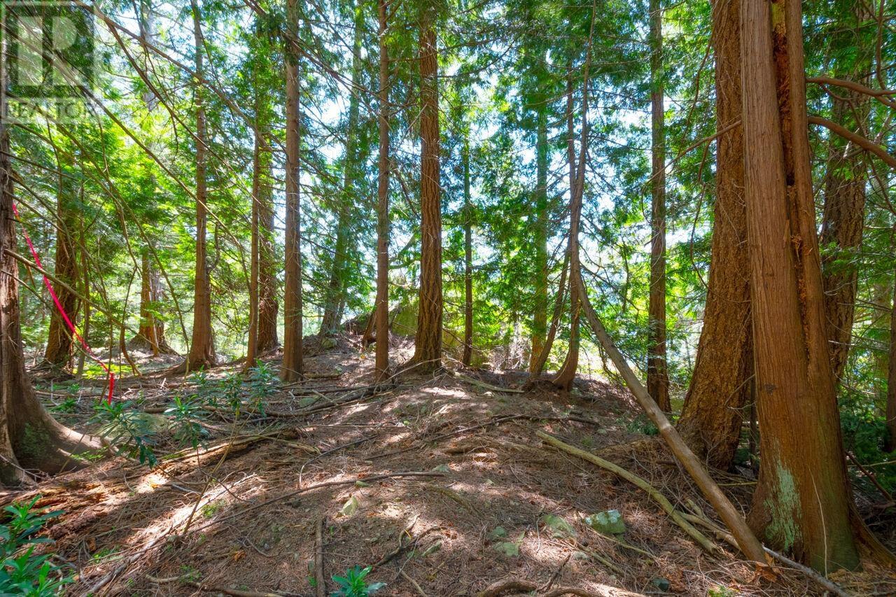319 David Road, Bowen Island, British Columbia  V0N 1G1 - Photo 2 - R2994749