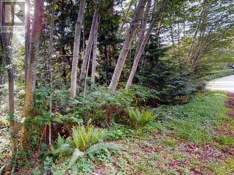 Lot 28 Lee Road, Garden Bay, British Columbia  V0N 1S1 - Photo 8 - R2994754