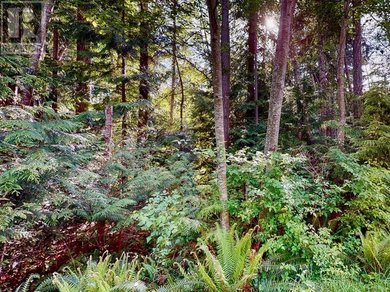 Lot 28 Lee Road, Garden Bay, British Columbia  V0N 1S1 - Photo 9 - R2994754