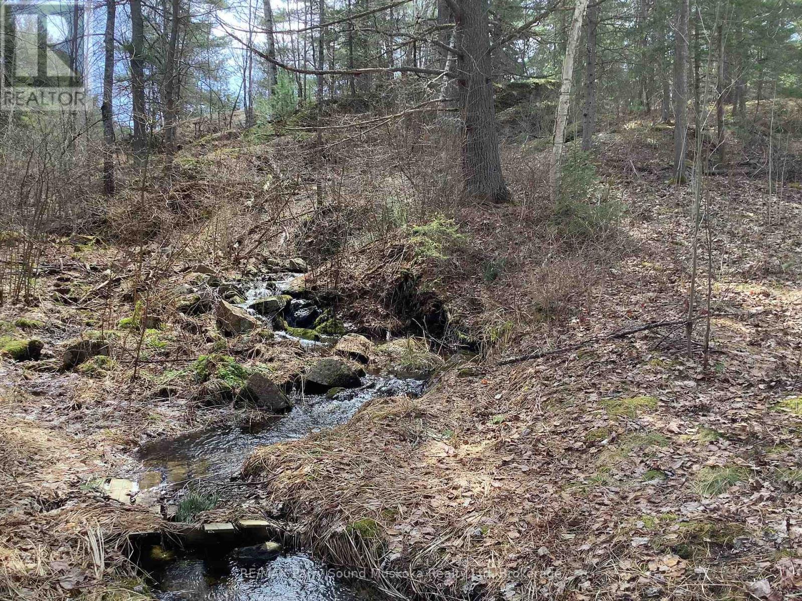410 Ranger, Parry Sound Remote Area, Ontario  P0H 1S0 - Photo 25 - X12107011