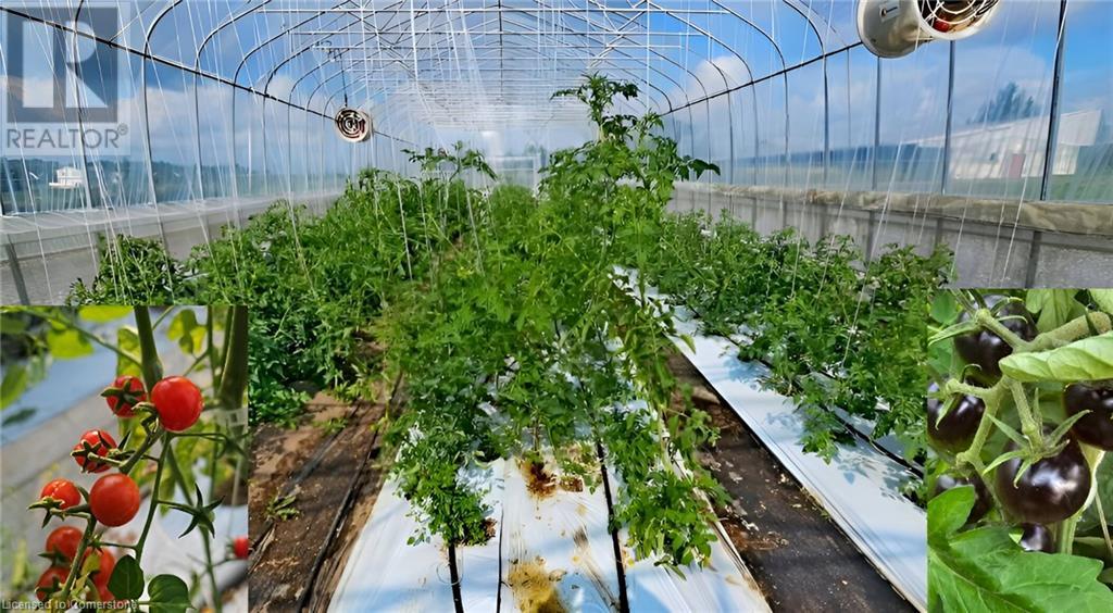 96 Second Road E, Hamilton, Ontario  L8J 3J2 - Photo 7 - 40721947