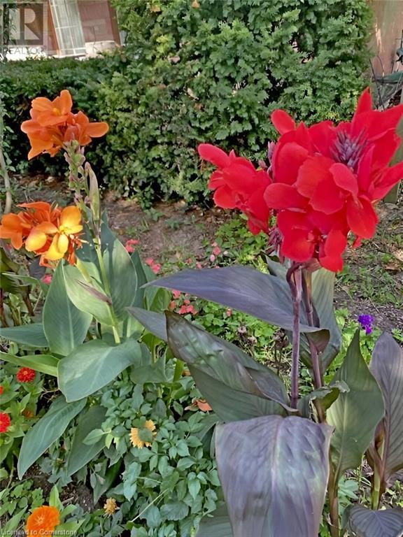 96 Second Road E, Hamilton, Ontario  L8J 3J2 - Photo 22 - 40721947